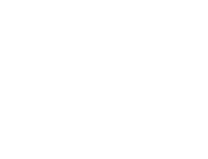 algavenice logo footer bianco